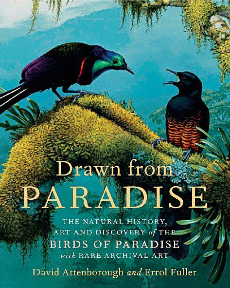 Book Review: Drawn From Paradise, by David Attenborough and Errol ...