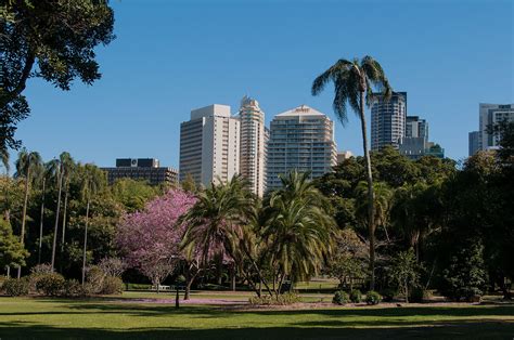 Brisbane City Botanic Gardens - Ed O'Keeffe Photography