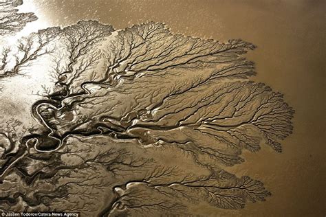 The Colorado River looks like a giant tree from above - Strange Sounds