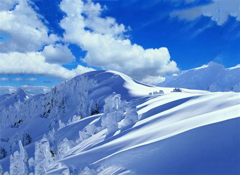 Snowy Landscapes Wallpaper - WallpaperSafari