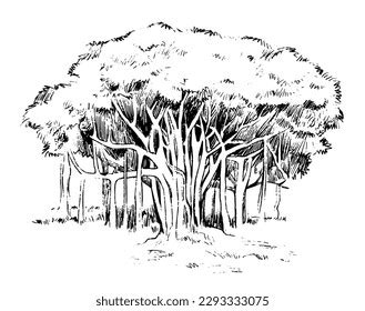 Banyan Tree Line Art Hand Drawing Stock Vector (Royalty Free ...