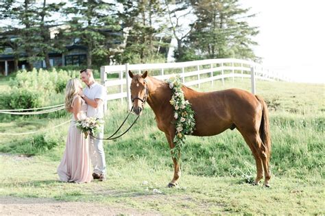 A One Year Anniversary Photoshoot with Flowers and a Horse - www.terri ...