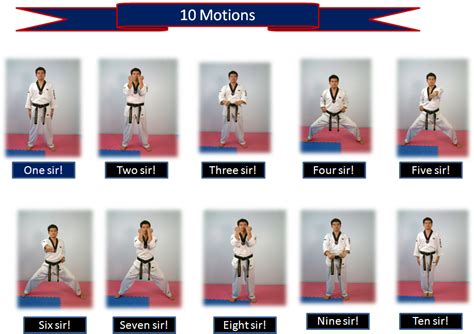 Taekwondo Basic Techniques