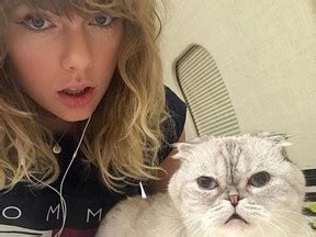 Taylor Swift’s cat is worth US$97M and richer than her boyfriend ...