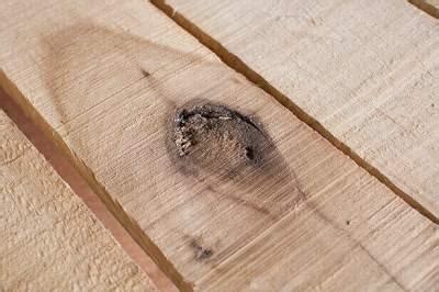 Defects in Timber | Defect Types & Causes - Civil Engineering