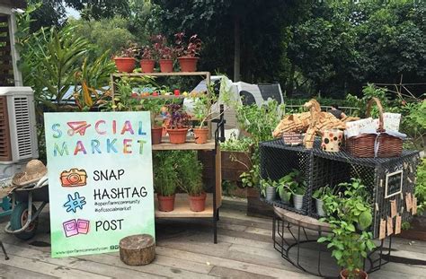 Local Farmers Market Near Me Today | See More...