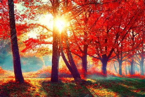 Autumn. Fall nature scene. Stock Photo by ©Subbotina 127244548