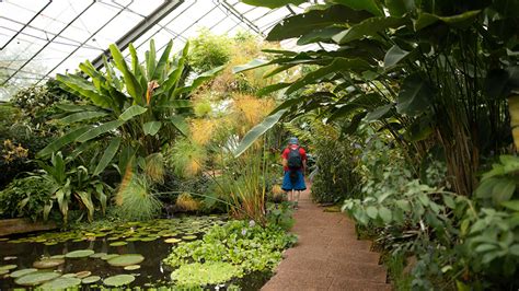 Visiting the Botanic Garden | University of Dundee, UK