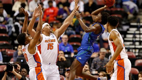 College basketball: Florida Gators put big chomp on FGCU men