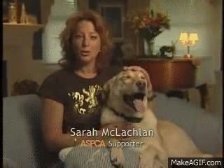 ASPCA announcement w/ Sarah Mclachlan on Make a GIF