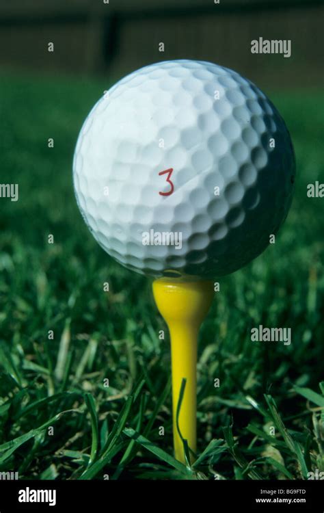 Close up of a golf ball on a tee Stock Photo - Alamy