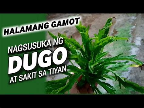 Pangalan Ng Gamot Sa Sakit Ng Tiyan