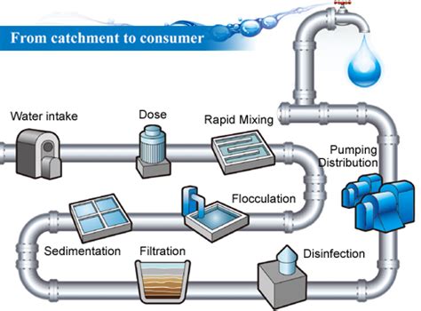 Do Chemical Water Purification Methods Really Work? | Survival Life