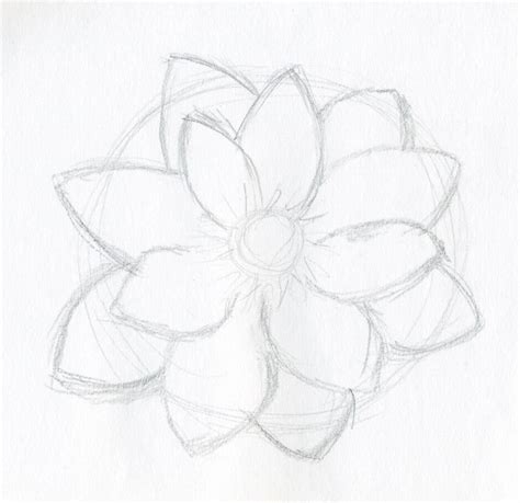 Free Drawings Of Flowers, Download Free Drawings Of Flowers png images ...