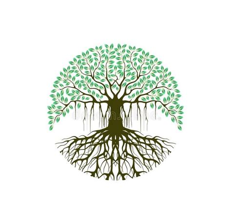 a tree with green leaves and roots in the shape of a circle on a white ...