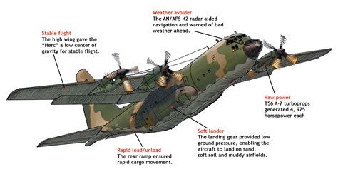 The C-130B Hercules: The "Heavy-Lift" Workhorse