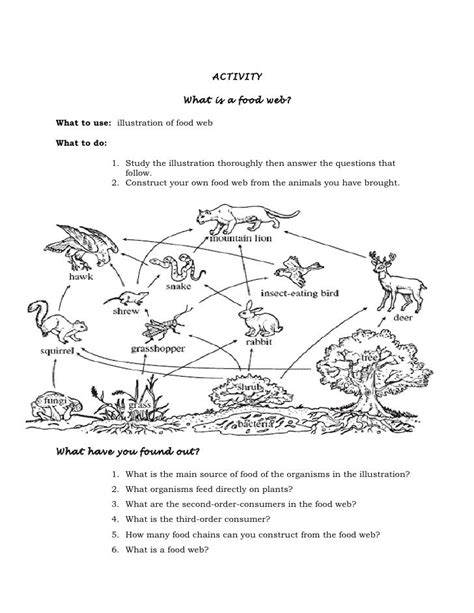 Food Web Worksheet 6th Grade - food web worksheet 6th grade and ...