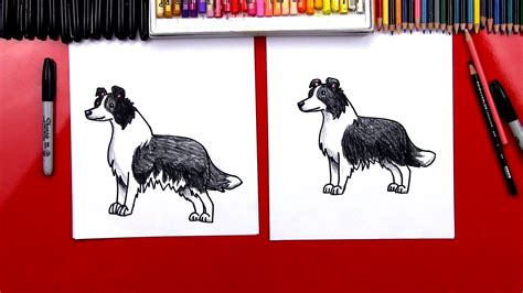 How To Draw A Border Collie - Art For Kids Hub