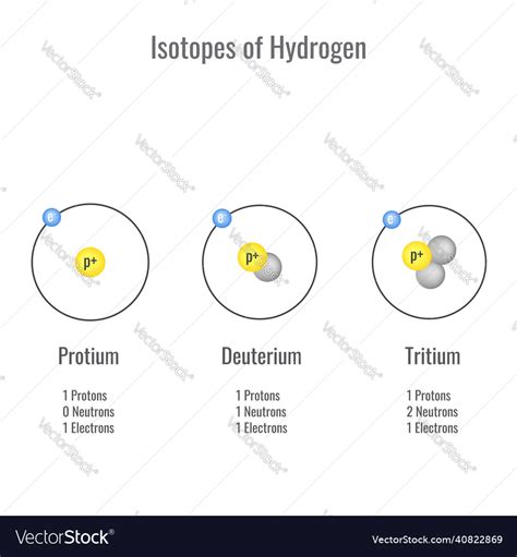 Isotopes of hydrogen Royalty Free Vector Image