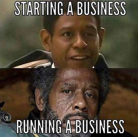 10+ Best Business Memes 2024