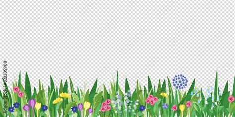 Spring garden grass and flowers border. Cartoon vector flower ...