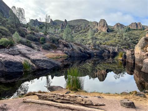 Pinnacles National Park: Everything You Need To Know To Visit - No Back ...