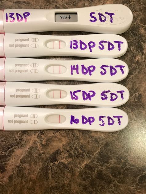 Results of our Frozen Embryo Transfer - Building our Family