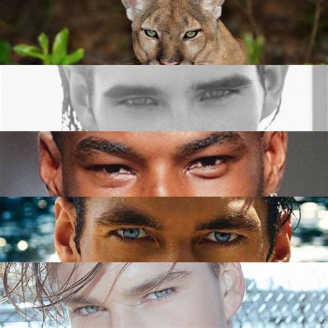 Hunter (Predator) Eyes vs Prey Eyes in Humans: What Is It And How To Get It