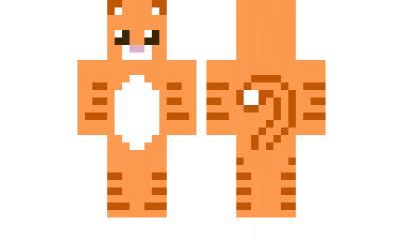 1000+ images about eryn s minecraft skin board on Pinterest | Cute cats ...