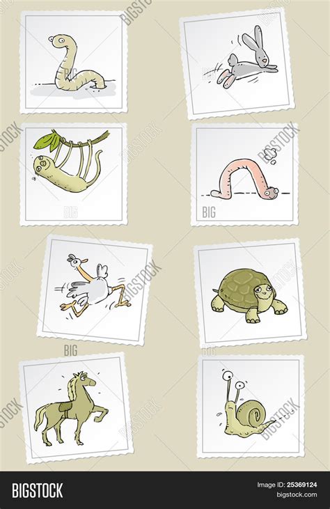 Fast Slow Funny Animals Vector Vector & Photo | Bigstock