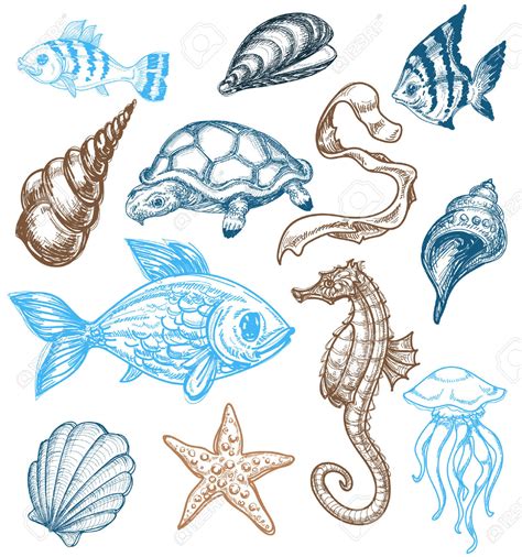 Sea Creatures Drawing at GetDrawings | Free download