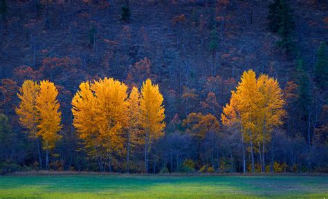 20 Stunning Photos Of Oregon's Fall Foliage | That Oregon Life