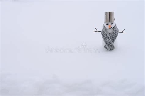 Snowman with carrot nose stock image. Image of branch - 294356951