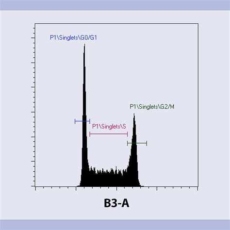 Cell cycle analysis | Flow Cytometry | Miltenyi Biotec | Deutschland