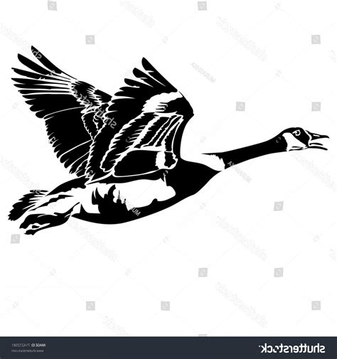 Flying Goose Vector at GetDrawings | Free download