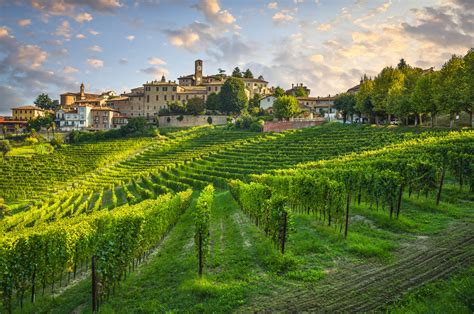 Neive village and Langhe vineyards, Piedmont, Italy Europe. | Vitalia ...