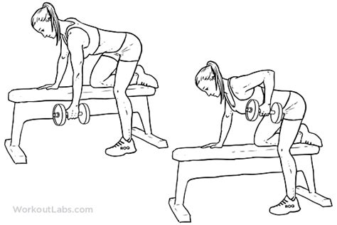 One-Arm Dumbbell Row | Illustrated Exercise guide - WorkoutLabs