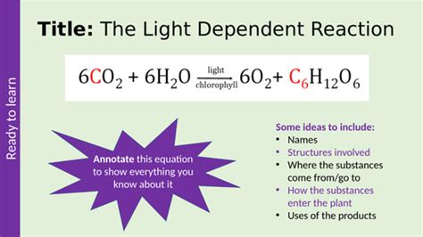 Light Dependent Reaction Equation