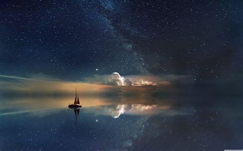 Sea Stars Wallpapers - Top Free Sea Stars Backgrounds - WallpaperAccess