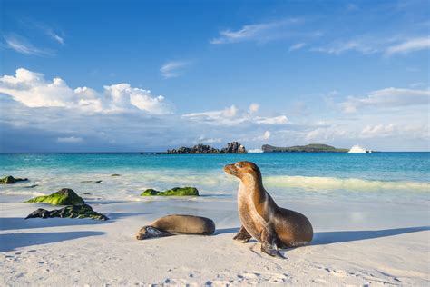 Dream Vacations in The Galapagos Islands | Tourlane