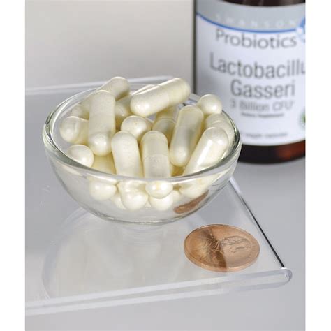 Lactobacillus Gasseri | Swanson Health Products Europe