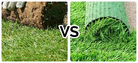 WHAT'S THE DIFFERENCE BETWEEN TURF AND ARTIFICIAL GRASS? | eduaspirant.com