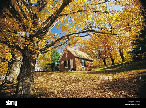 Fall foliage in Montpelier Vermont Stock Photo: 6305960 - Alamy