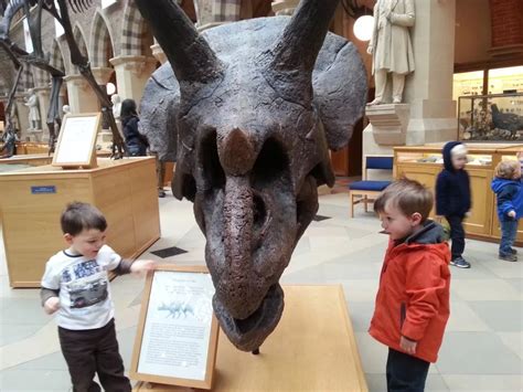 Dinosaurs at Natural History Museum Oxford - Bubbablue & me