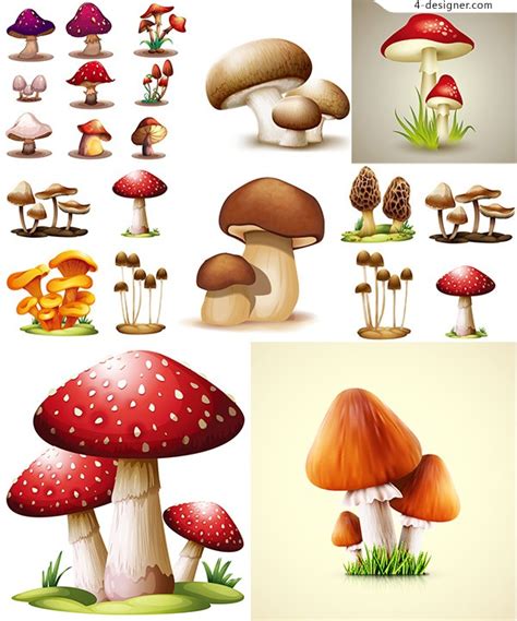 Mushroom Vector Art at Vectorified.com | Collection of Mushroom Vector ...