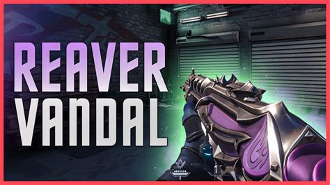 REAVER Vandal Gameplay | VALORANT Reaver Collection Skin - YouTube