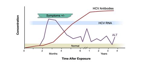 Core Concepts - Diagnosis of Acute HCV Infection - Screening and ...