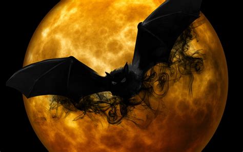 Halloween Bat Wallpapers - Top Free Halloween Bat Backgrounds ...