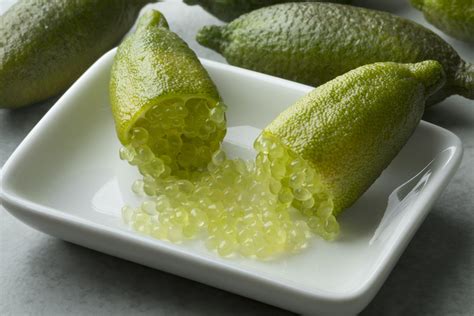 What are Finger Limes? - Taste, Types, Benefits, Uses - Twigs Cafe