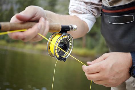 10 Best Fly Fishing Reels in 2023 - Fishmasters.com